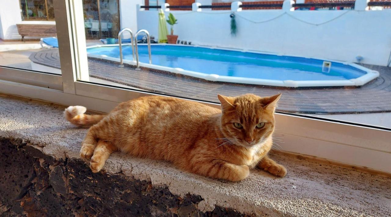 Casa Natura Ainhoa La Oliva Dış mekan fotoğraf